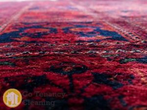 Carpet Cleaning